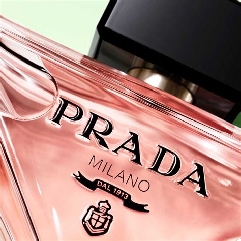 nuovo profumo prada 2019|Paradoxe .